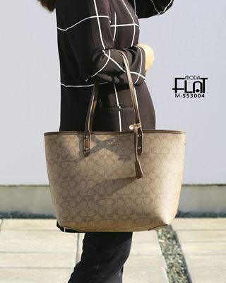 صورة شنطة Bags 
